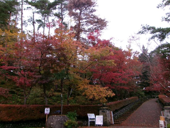 写真：11月20日の松雲山荘正面左側の部分。黄色と紅色の葉とドウダンツツジの赤が映えています
