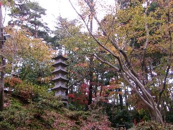 写真：11月20日の園内。五重の石塔周辺は黄葉した木々が多いです