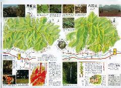 黒姫山・八石山の登山道案内図のチラシ