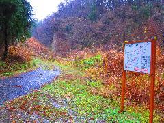 赤尾滝コース（三ツ小沢コース）登山道入口附近の写真