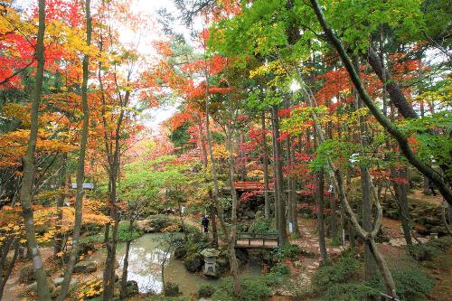 写真：赤や黄色に美しく色づいた紅葉と、常緑樹の緑が織りなすコントラストが美しい松雲山荘