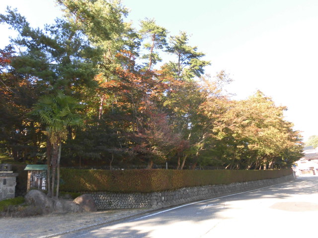 写真：10月28日時点の松雲山荘の正門前右側。色づき始めた木が見られます。