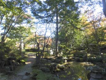 写真：10月28日の松雲山荘内にある池周辺の様子。黄色くなった気も見えますが、ほとんどが青葉です。