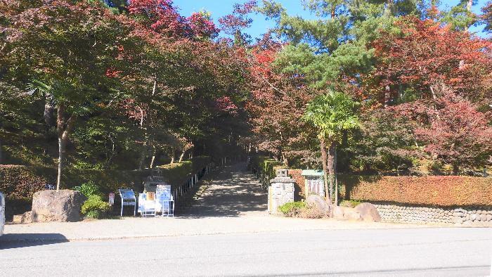 写真：10月31日の松雲山荘正門の様子。木の上部が赤く色づき始めています