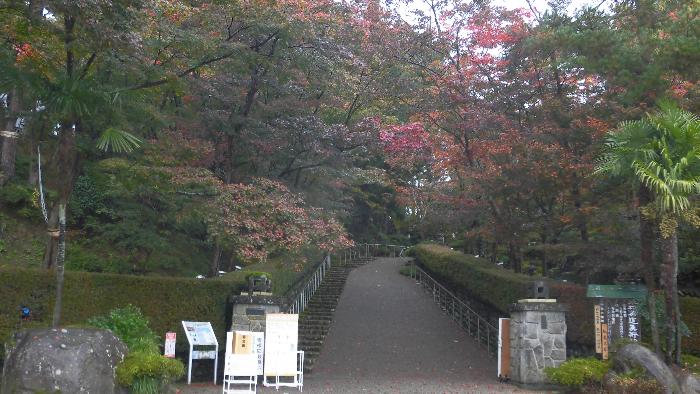 写真：11月4日の松雲山荘入口の様子。園路の両脇の木々が赤く色づいてきました