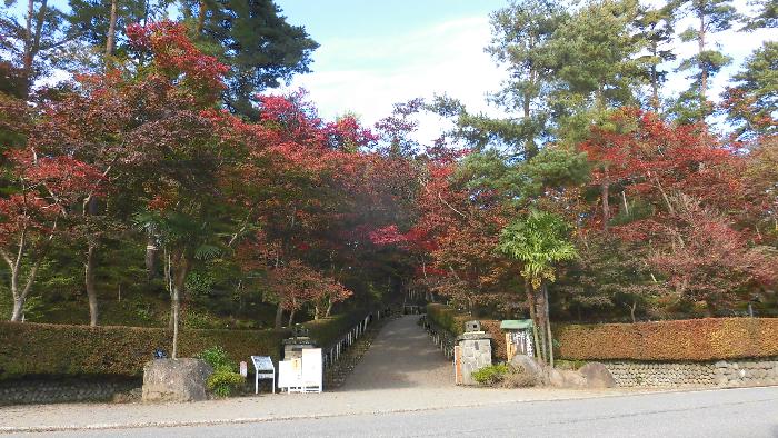 写真：11月7日現在の正門周辺の紅葉。4日と比べ、紅葉が進んでいます