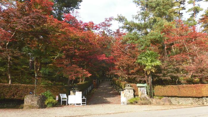 写真：11月9日の松雲山荘入口周辺。ほとんどの木が紅葉し、見ごろを迎えています。