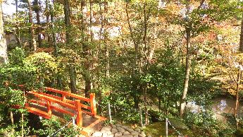 写真：11月9日の園内の様子。赤い欄干の橋の周囲はまだ青葉が目立ちます