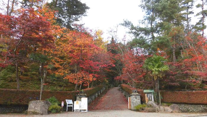 写真：11月14日の松雲山荘入口。赤や黄色に色づき、見ごろを迎えています。