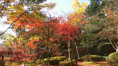 写真：11月16日の園内。赤や黄色に色づいた木と石灯篭