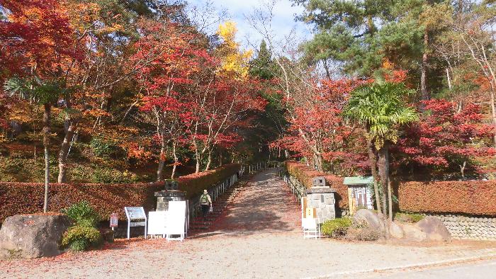 写真：11月18日の松雲山荘入口。見頃を迎えています。