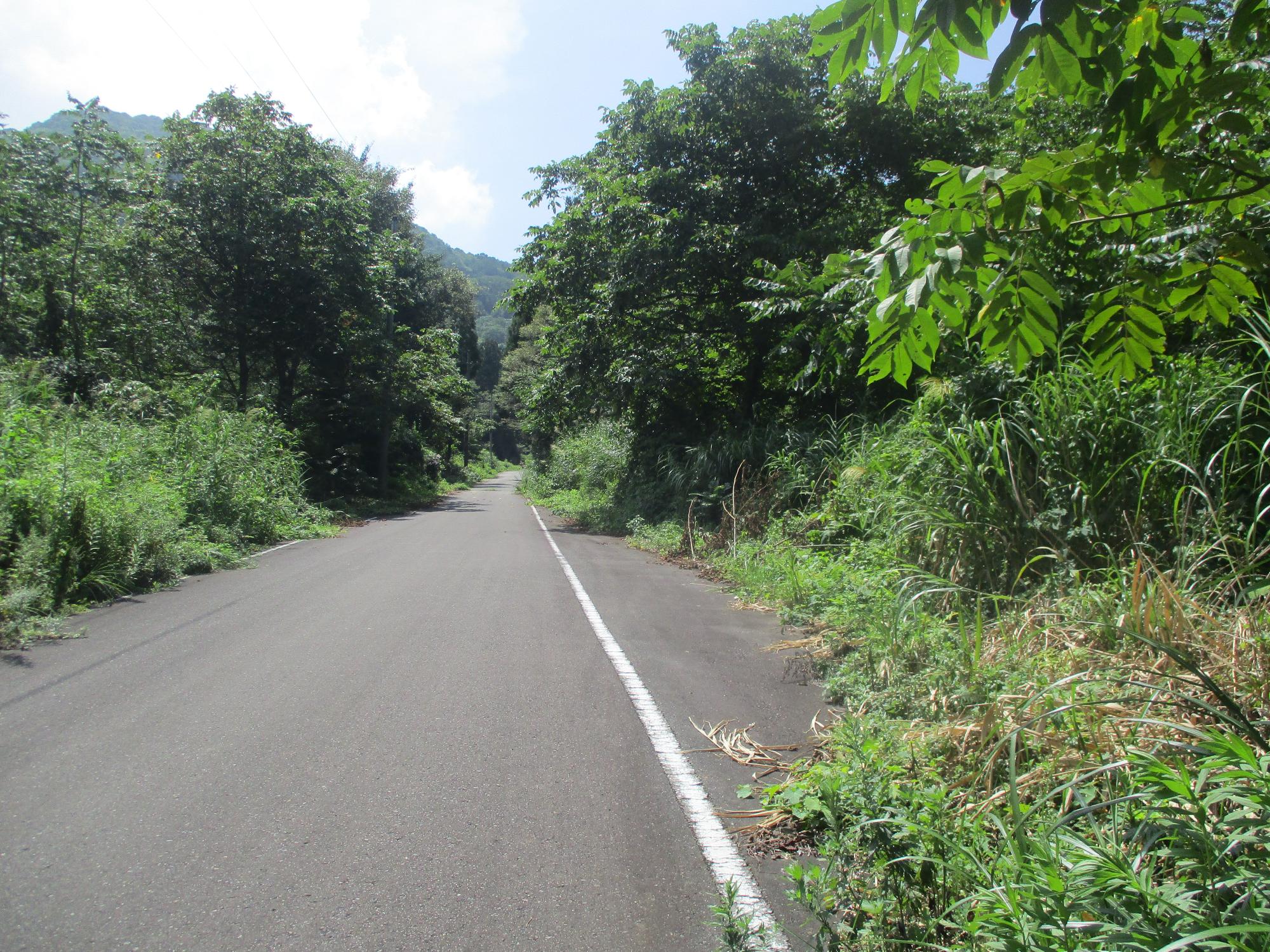 登山口直前の自動車待避所