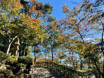 写真：10月26日現在の松雲山荘の様子。庭園上部に続く坂の周りの木は、ほとんどが青葉の状態です。