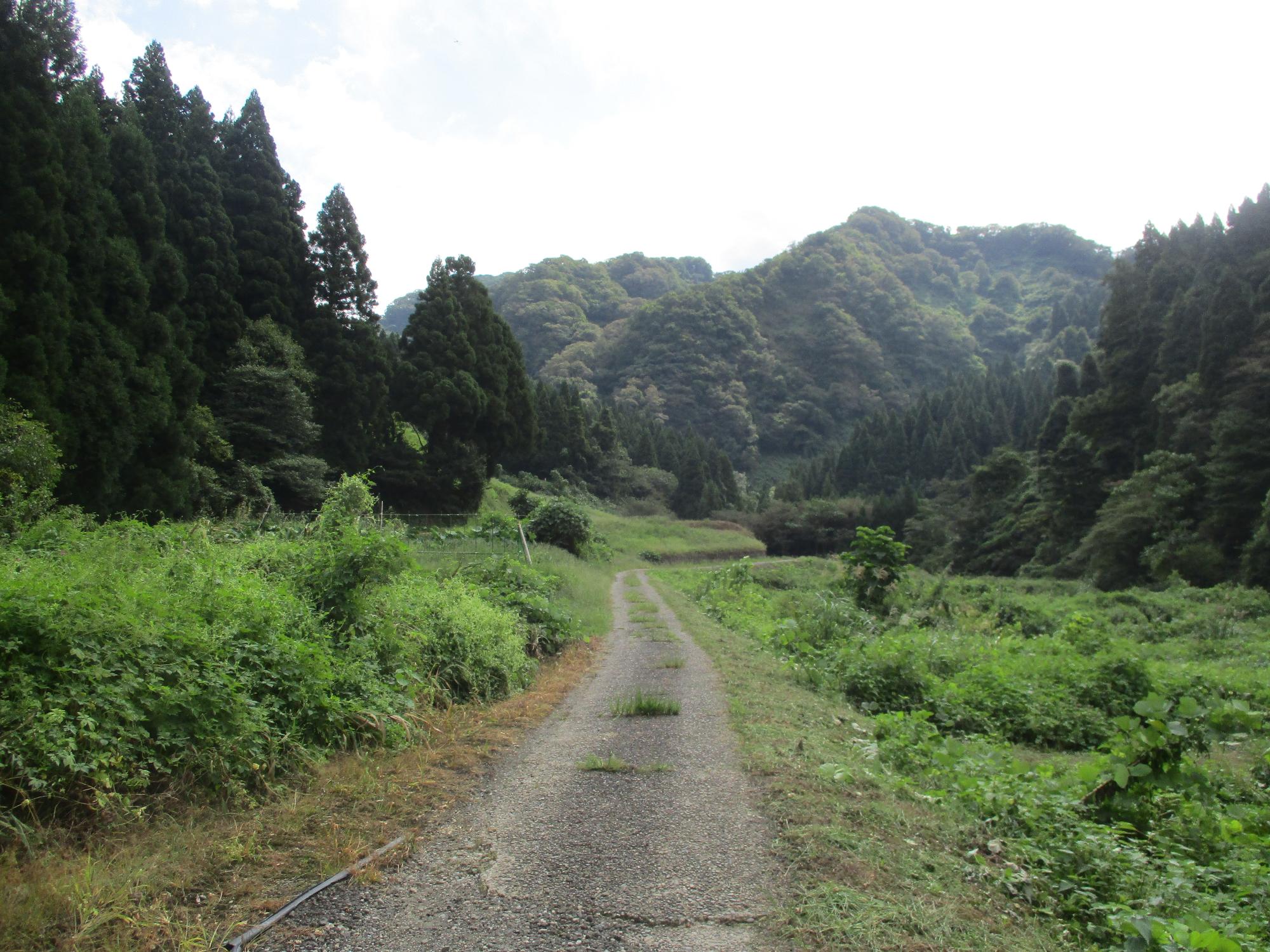 登山口に続く農道