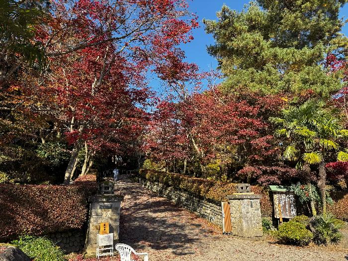 写真：11月17日の松雲山荘正門の様子。園路両脇の木々が見事に紅葉しています