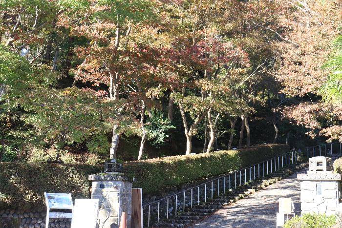 写真：11月15日の松雲山荘正面入口の様子。