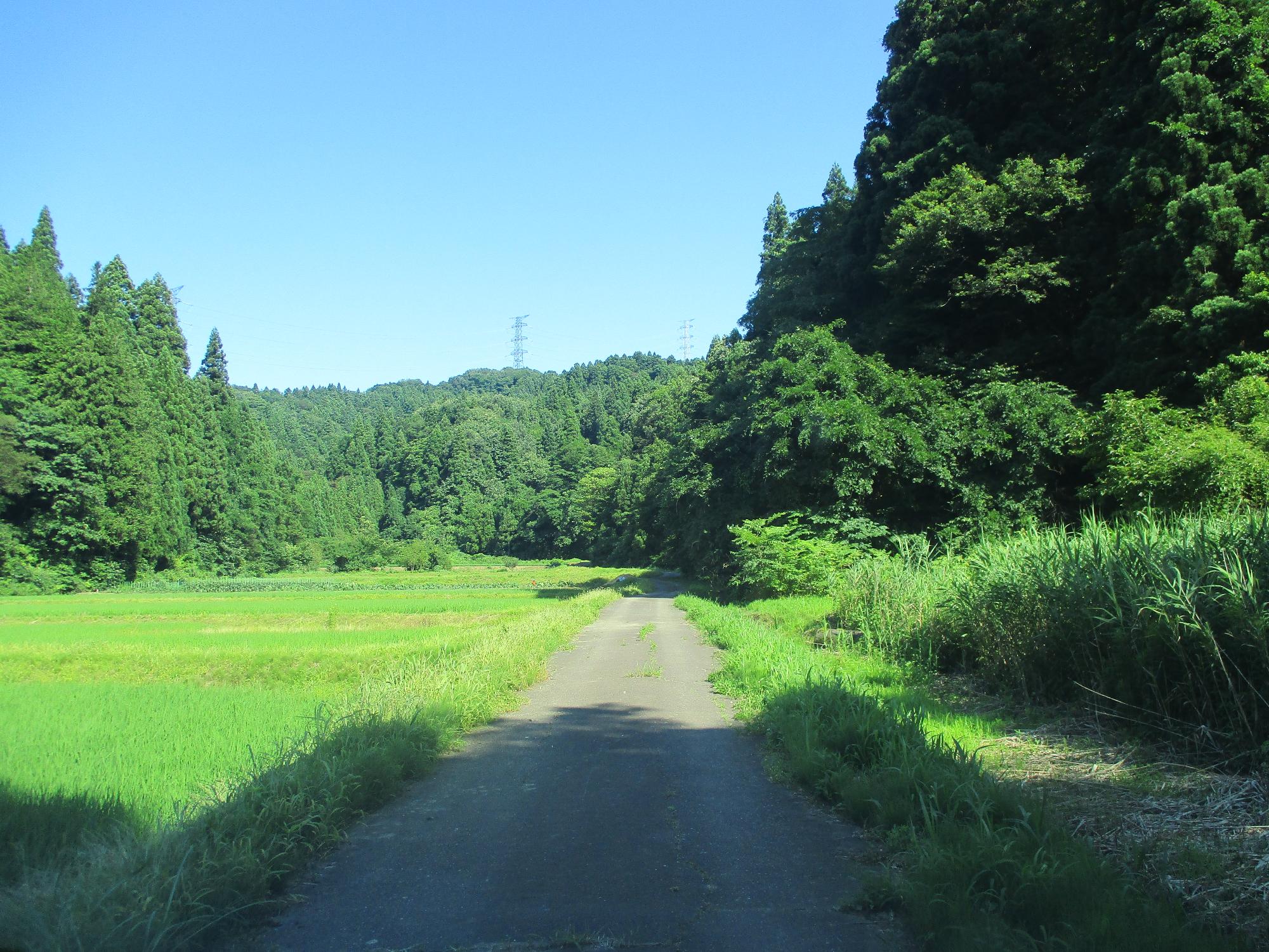 登山道に向かう途中の農道