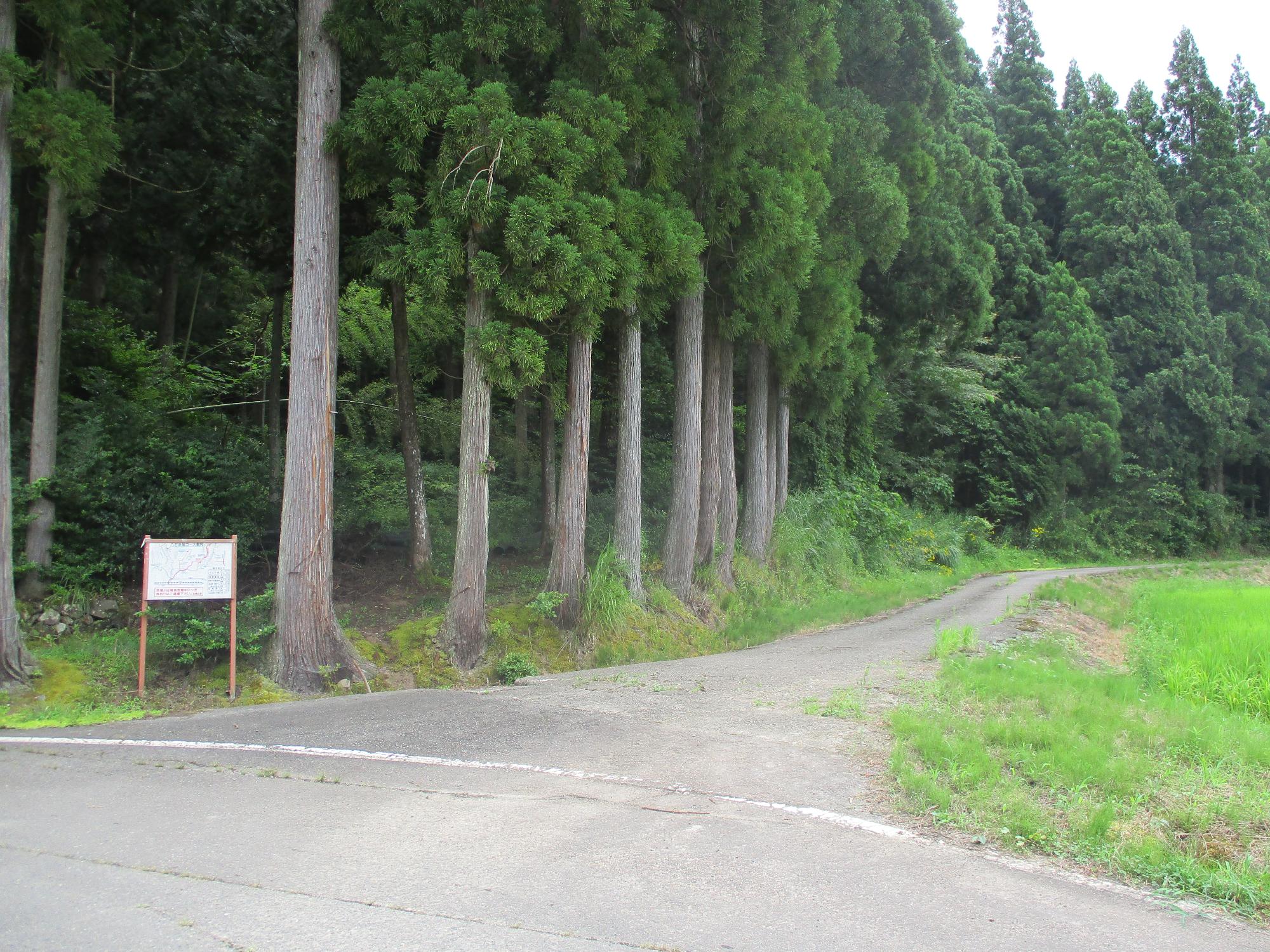 看板が立っている丁字路