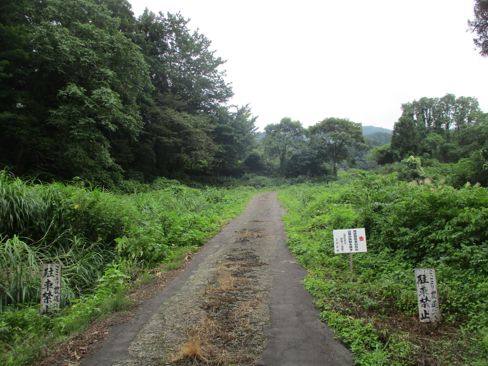 登山口手前の農道