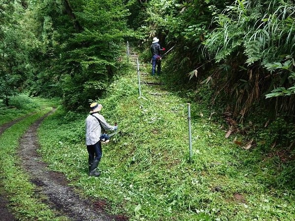 写真：北条城址登山道の法面の雑草を、草刈機で除草するメンバー