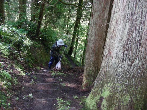 写真：北条城址登山道の階段を、大きな熊手を使って集草しているメンバー