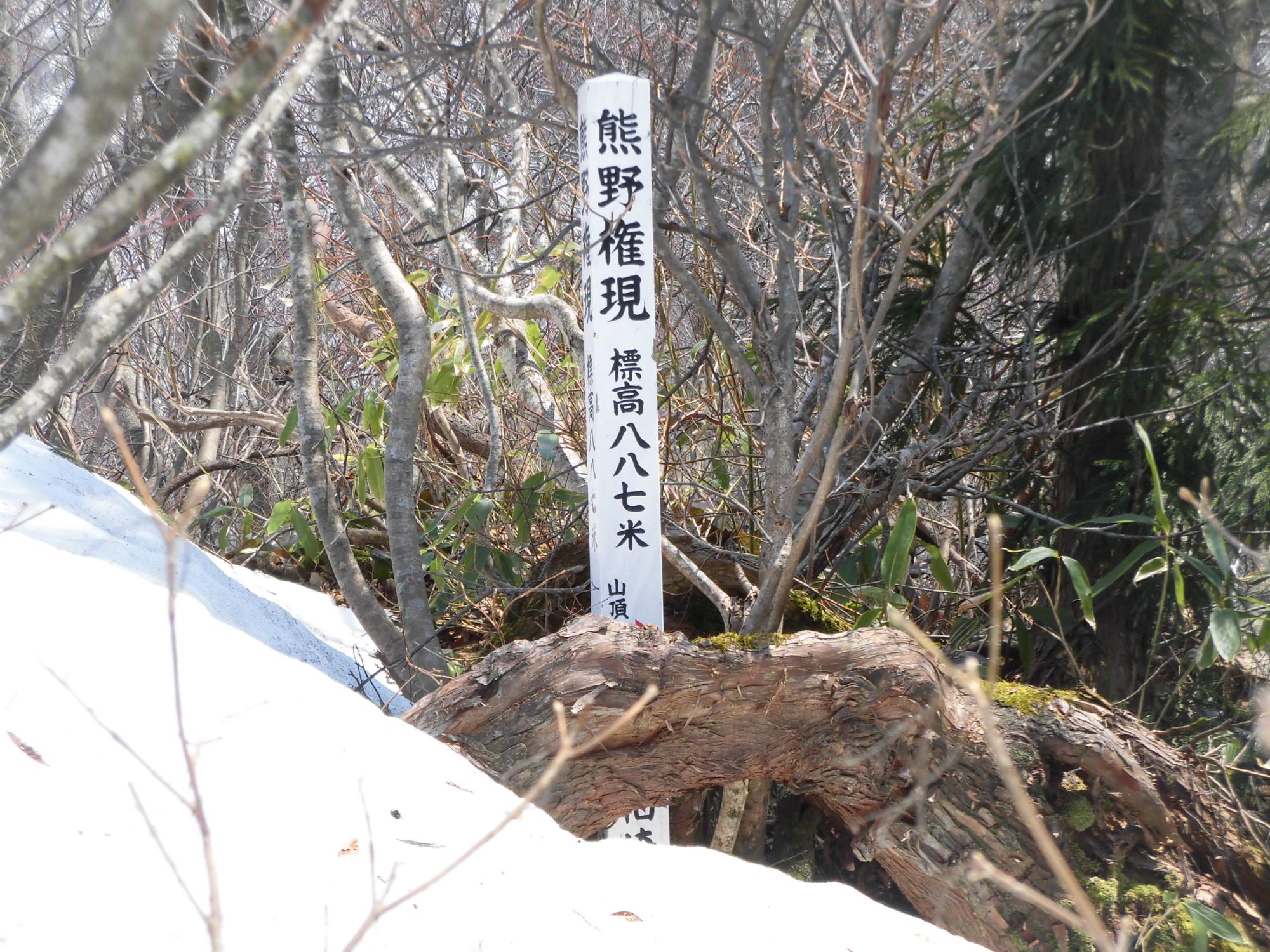 標高887メートルの熊野権現の標柱