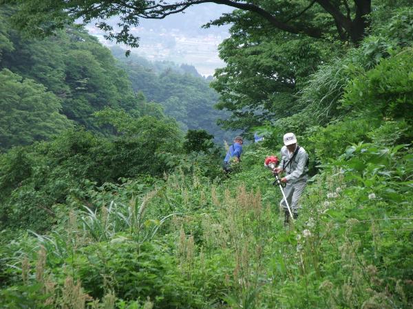 写真：八石山登山道に生い茂った雑草を草刈り機で刈り取る男性