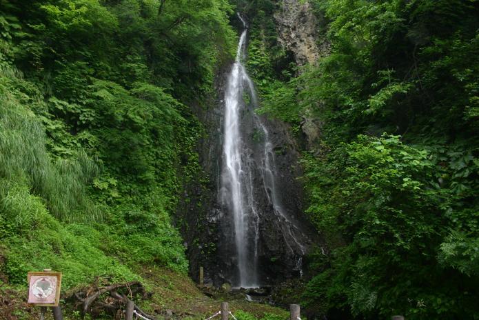 深い緑の谷間から流れ落ちる滝の様子の写真