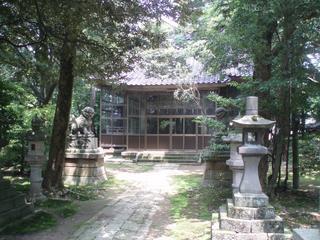 緑の木々に囲まれた多多神社の社殿の写真