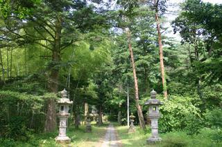 たくさんの木々に囲まれた宮川神社の参道脇に建つ灯篭の写真