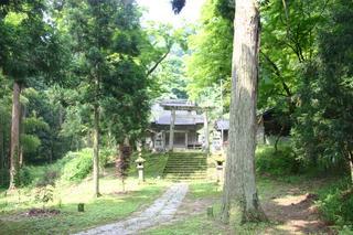 多種多様な樹木が生い茂る自然豊かな中にある社殿までの参道と宮川神社の写真