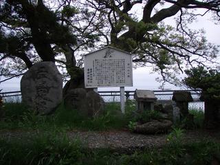 諏訪神社の境内にある松の木の下に案内看板や石灯籠が置かれているおべんが松の写真