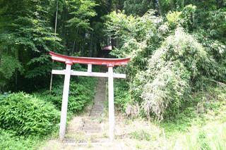 白山神社の社殿に続く階段の前に建つ白山神社鳥居の写真