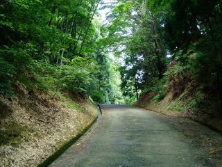 綺麗に舗装された切り通し状の道に両脇には緑豊かな木々が広がる安田城へ続く林道の写真