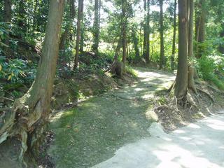 林の中を通る上条城址の二の丸跡へ続く道の写真