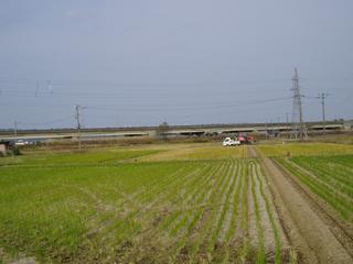 広い田んぼと遠くに見える遺跡保存のための北陸自動車道陸橋の写真