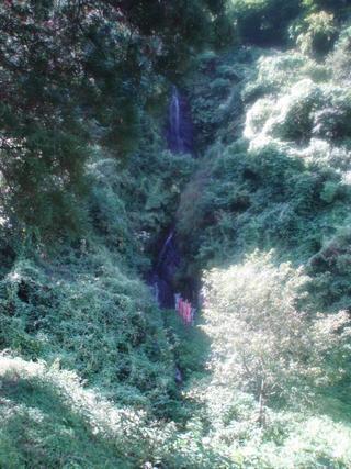 八石山北側の断崖に落ちる十三が滝の写真