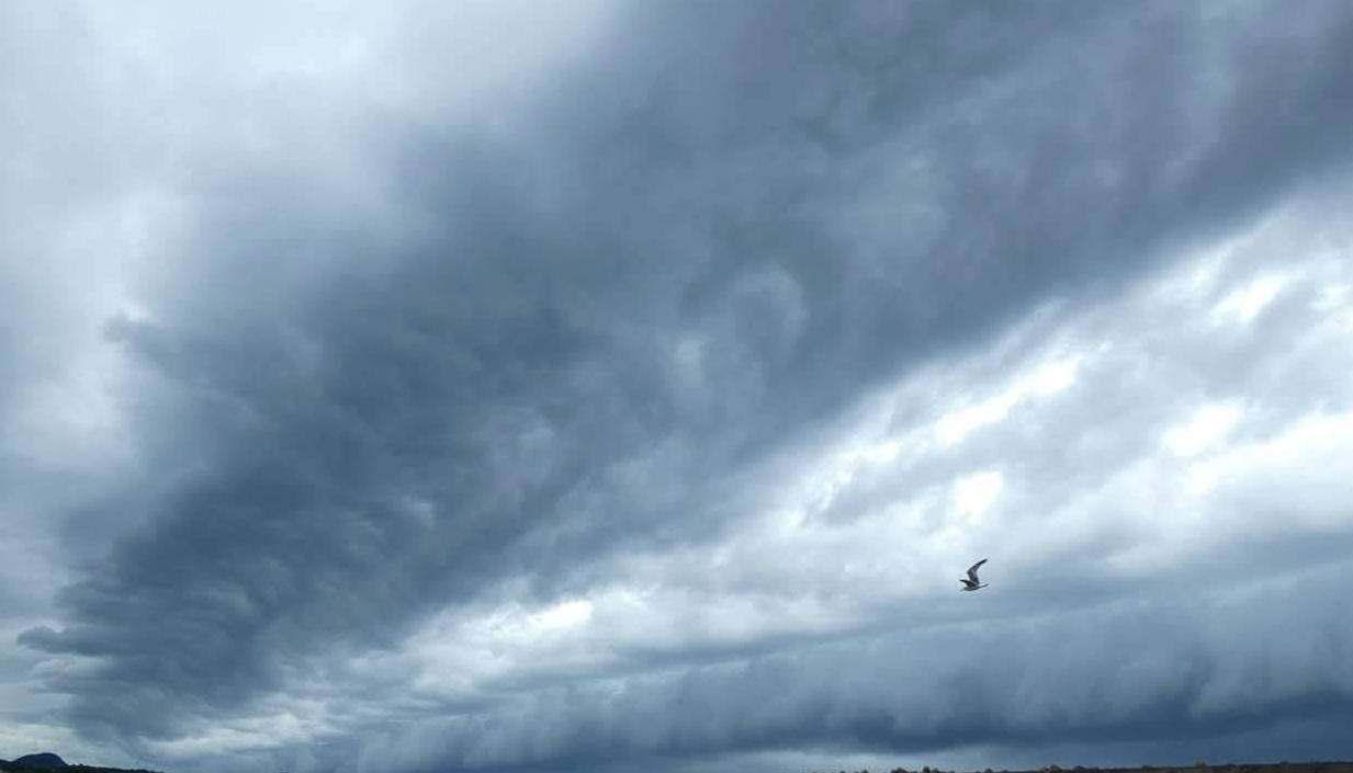 写真：突風が吹く前の雲の様子。「空が暗くなる」「雲が渦を巻く・流れが速い」「冷たい風が吹く」などが前兆です。