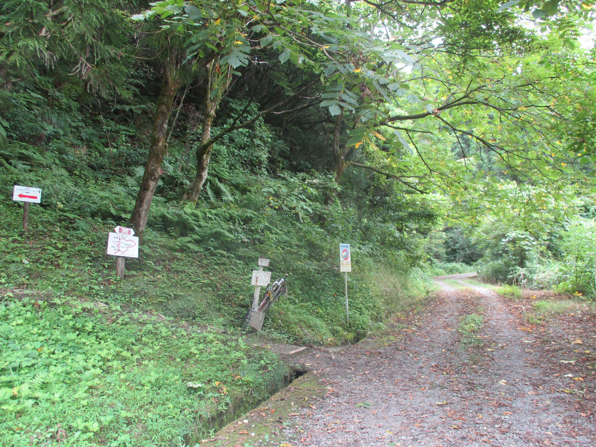 南条登山道起点と林道