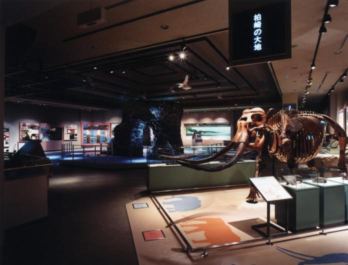 自然展示室にナウマンゾウの標本が展示されている写真