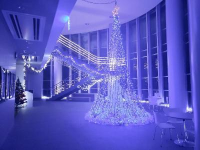 （イメージ）西山ふるさと公苑「クリスマスイルミネーション」