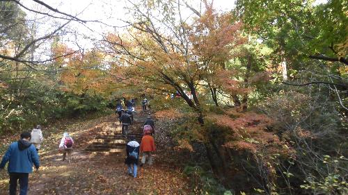 写真：赤坂山公園内をウォーキングする皆さん