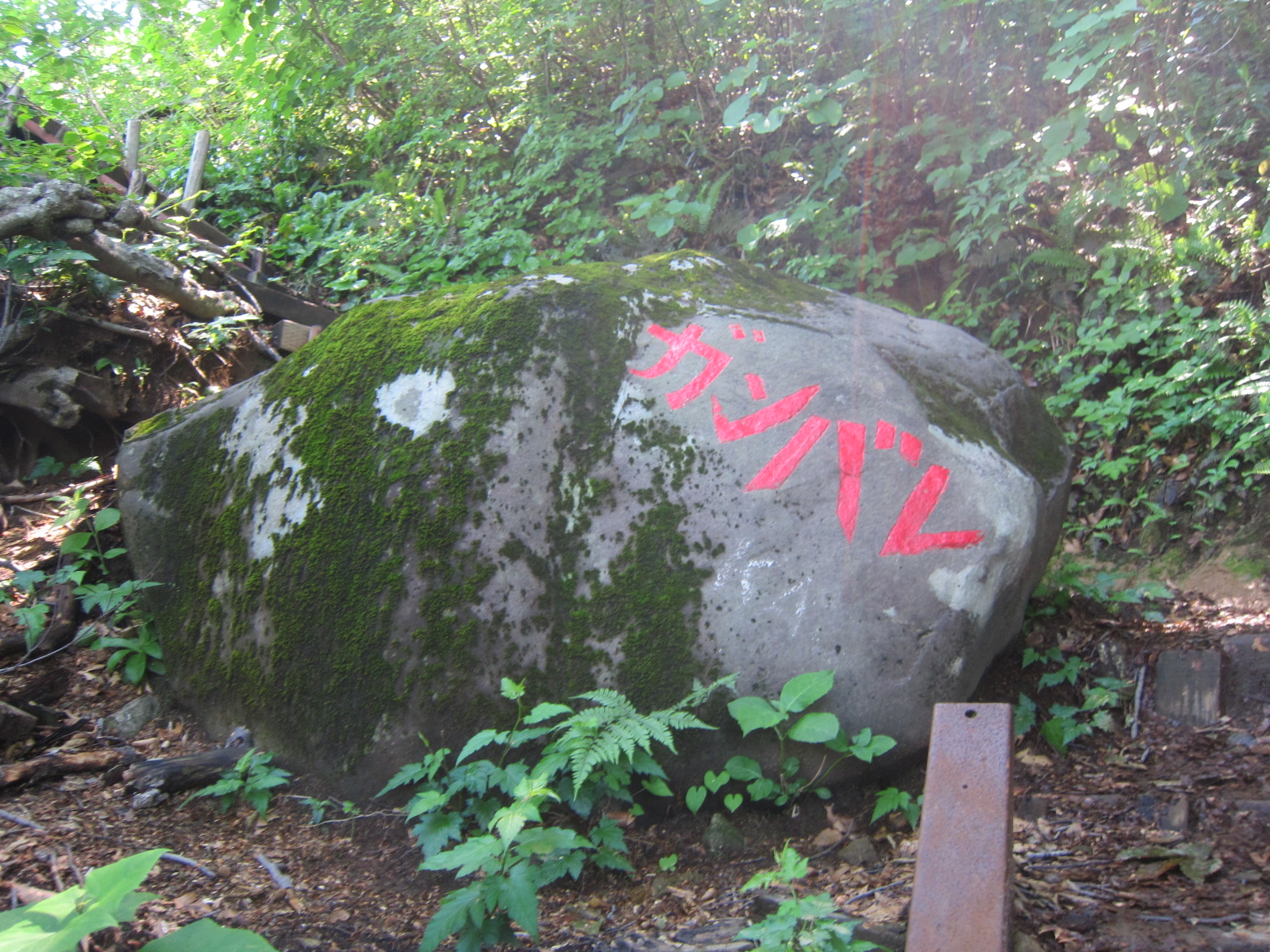 山頂手前のガンバレ岩