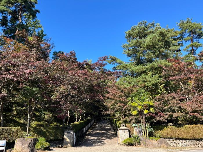写真：11月4日の松雲山荘正門付近。少し色づいた木がありますが、まだ青葉の状態です