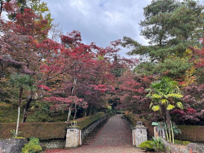 写真：11月11日の松雲山荘正門の様子。半分ほどの木々が色づき、黄色やオレンジ色に交じって真っ赤な葉が見えます。