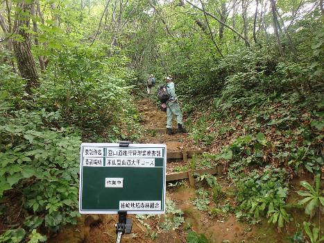 写真：柏崎地域森林組合による米山大平コース階段付近の整備の様子。目視で異常がないかを確認しています