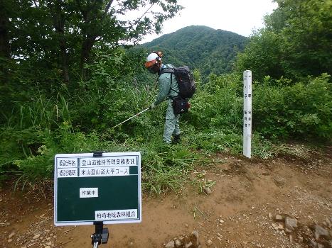 写真：柏崎地域森林組合の男性が、米山二ノ字付近で草刈機を使って作業しているところ