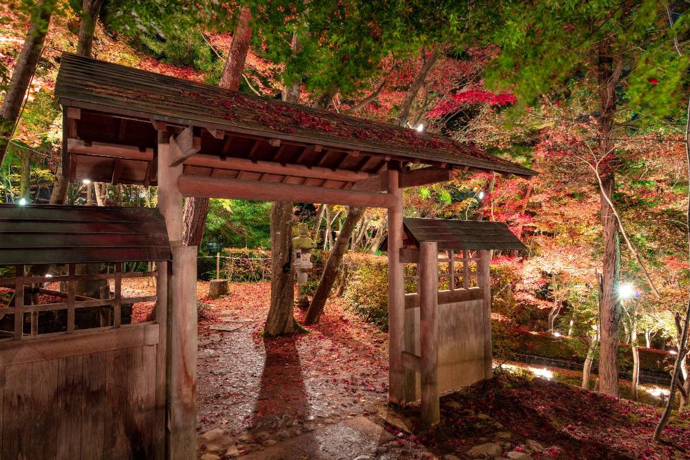 写真：庭園内の木製の門の向こうに広がる紅葉