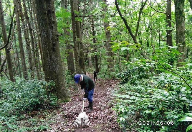 写真：熊手を使って登山道の集草作業をしているメンバー