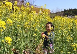 柏崎・夢の森公園の菜の花を楽しむ子ども